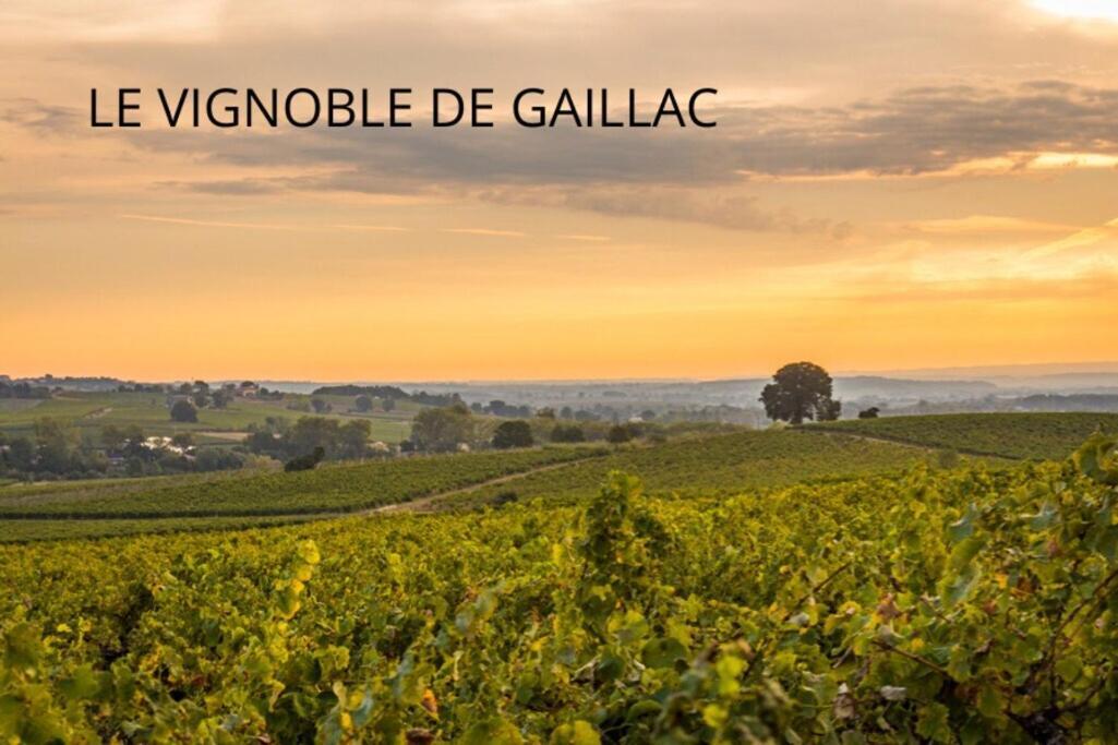 Jolie Maison - Calme - Jardin - Gaillac Exterior photo